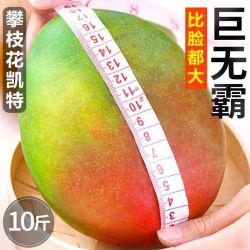 尹福记 攀枝花 凯特芒 4.5斤装 特大果王 单果600克+