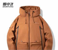 雪中飞 秋冬同款时尚休闲防风抗寒户外出游百搭短款羽绒服 焦糖色|7142 M 170/88A