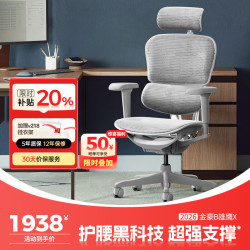 Ergonor 金豪B 2代 人体工学电脑椅 银白色 美国网款