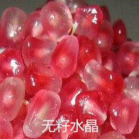 伟伟园艺 无籽水晶石榴树苗 2年苗 盆栽