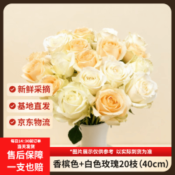 京东鲜花 Jingdong 京东鲜花 玫瑰花 鲜切花 10枝 蜜桃雪山+白色随机