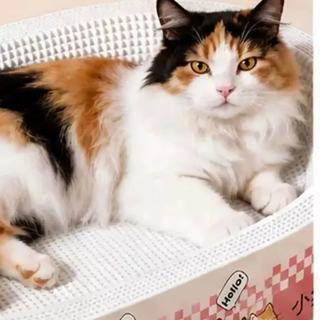 小猫日记 白卡手绘椭圆款 猫抓板猫窝一体 50大号