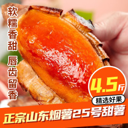 鲁禧海岸 糖心蜜薯 净重4.5斤