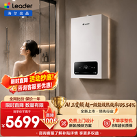 海尔 双变频一级能效冷凝式燃气壁挂炉 天燃气热水器供暖地暖暖气片两用统帅采暖炉锅炉家用节能低噪
