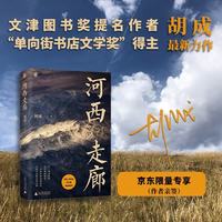 河西走廊  文津奖提名作者、“单向街书店文学奖”得主胡成最新力作 单本包邮