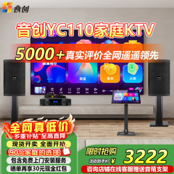 音创 yc-110 家庭ktv音响套装 专业影院音箱全频卡拉ok唱歌全套设备家用K歌一体机+500G硬盘