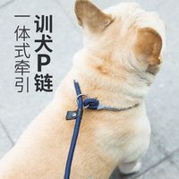 科万鸿 狗狗绳子防爆冲P链遛狗牵引绳通用防挣脱狗链子大中小型犬