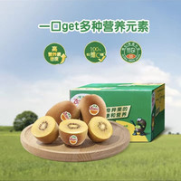 佳沛 金奇异果12粒装新鲜水果新西兰进口当季黄心猕猴桃