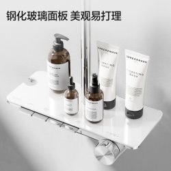 Panasonic 恒温淋浴花洒套装 E8 增压可升降琴键 全铜 银白色
