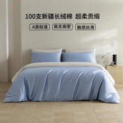 AIDLI A类100支双股高密新疆长绒棉四件套 200*230cm