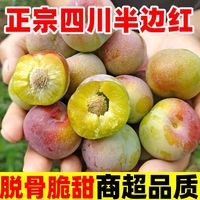 百亿补贴:佩紫 四川 半边红大果李子 4.5斤