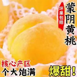 三萌果蔬 山东蒙阴黄桃 5斤甄选果 净重4.5斤