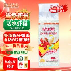 巨金米业 猫牙香米 1斤 纤长似玉