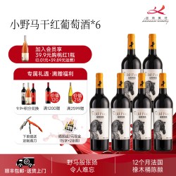 迦南美地 HELAN MOUNTAIN 贺兰山 迦南美地小野马赤霞珠美乐干红葡萄酒整箱6瓶2021年