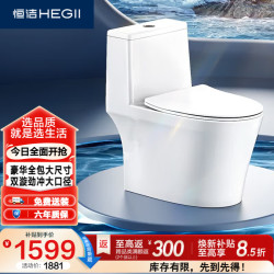 恒洁 HC0905DT 超旋风双漩冲水 400mm坑距 坐便器