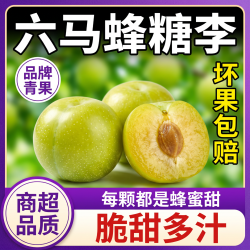爱果趣 贵州蜂糖李 5斤净重 单果25-40g