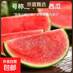 京东 当季新鲜小糖丸西瓜皮薄多汁新鲜采摘手撕小西瓜脆甜爽口 小糖丸净重4-5斤（1-2粒）