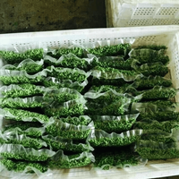 新鲜青花椒 350g *1袋