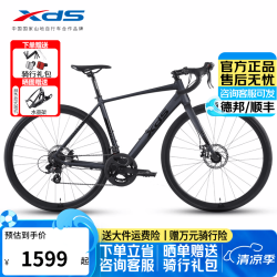 喜德盛 公路自行车RC200入门休闲14速变速铝架公路车 26款标准版黑武士(14速机械碟刹） 520mm