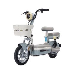 台铃 大果粒 新国标电动自行车 48V22Ah