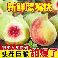 百亿补贴:云南鹰嘴桃 新鲜大果 3斤/5斤