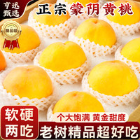 亨迅 新鲜蒙阴黄桃水果新鲜黄毛桃黄金蜜桃子脆甜应季时令生鲜 净重4.5斤大果