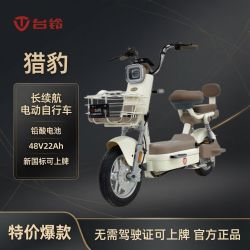 台铃 猎豹 电动自行车 48V22Ah