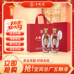 五粮液 股份 五粮精酿珍酿浓香型白酒52度500ml*2瓶礼盒装