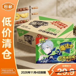 魔法士 干脆面 20g*48袋 巴西烤肉味
