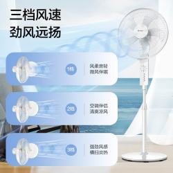 格力 电风扇家用大风量五叶转页扇 办公室立式升降转叶扇大尺寸定时电扇排气扇落地扇 FD-4012