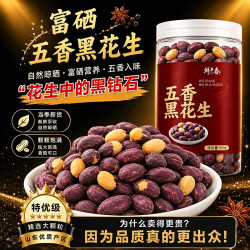 鲜丰春 五香黑花生 500g 综合坚果