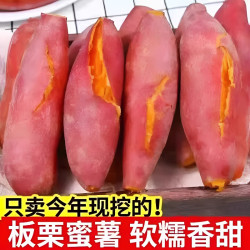 笑芙 河南黄心番薯 小果 1斤