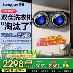 KANGYAN 壁挂式滚筒双桶舱内衣洗衣机全自动小型专用分筒