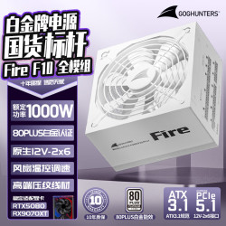 长城 额定1000W F10白色白金牌全模组电源（ATX3.1标准/原生PCIe5.1/自动启停/全电压/闪电加速）