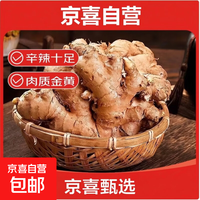 京喜加 云南农家自种山地小黄姜  新姜生姜 新鲜现挖 净重1斤装（多仓发货）
