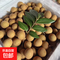[7月19日前发货]茂名高州储良龙眼正宗老树核小广东果园品质升级 5斤装储良龙眼老树果