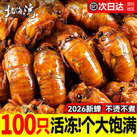 北海湾 山东新鲜大号金蝉知了猴 100只 净300g