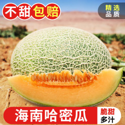 探味君 海南哈密瓜 2.8-2.99斤