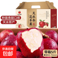天水花牛苹果 5斤 果径65-70mm
