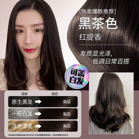 韩金靓 染发梳