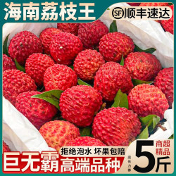 三萌果蔬 海南荔枝王超大新鲜荔枝水果礼盒送礼 3斤精选装A+级【特大果-黄金甜度