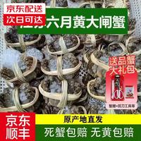 蟹简史兴化大闸蟹鲜活六月黄礼盒装现货超大螃蟹部分地区次日达 六月黄1.5-1.8两