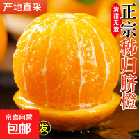 京喜 2025湖北宜昌纽荷尔脐橙当季产地直发橙子新鲜采摘65-70mm 带箱5斤65-70mm