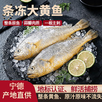 味尔佳 宁德黄花鱼1kg（4条）原条黄鱼 生鲜鱼类  海鲜  源头直发纯鱼肉