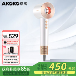 彦高 电吹风家用负离子护发大功率速干高速吹风机理发店专用男女款智能无叶风筒生日礼物 高挺版-贝母白