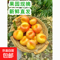 京喜 山东脆甜黄金油蟠桃露天现摘现发高纤膳食补维C抗衰老果园甄选 带箱1斤（净果0.8斤+） 小果