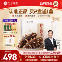 小兵海参 鲜食海参即食海参刺参免泡发送长辈 生鲜礼盒 3盒到手1.5斤