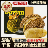 小憨哇 泰国金枕榴莲 3kg 2-3个