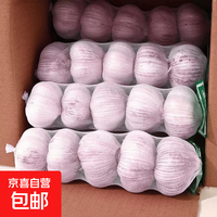 京喜 东东买菜 金乡 太空大蒜 5.0-5.5公分 2斤网兜 净重900g
