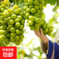 阳光玫瑰 四川晴王礼盒葡萄 4斤